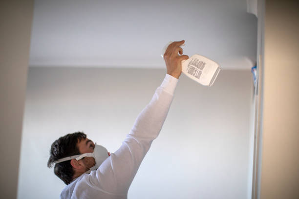 Best Preventive Mold Services in Bazon, CA